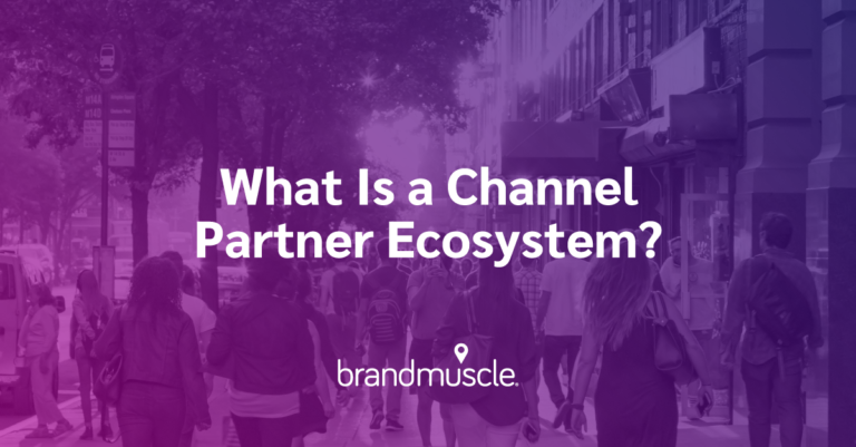 what is a channel partner ecosystem